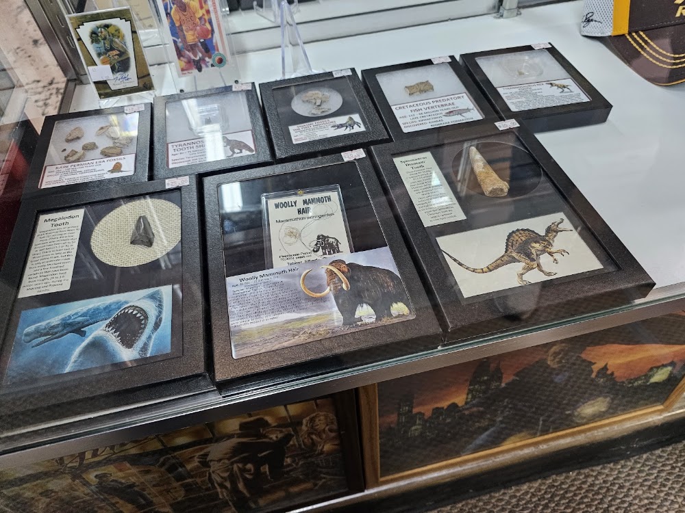 All Star Sports Cards LLC, tienda de TCG en Muncie