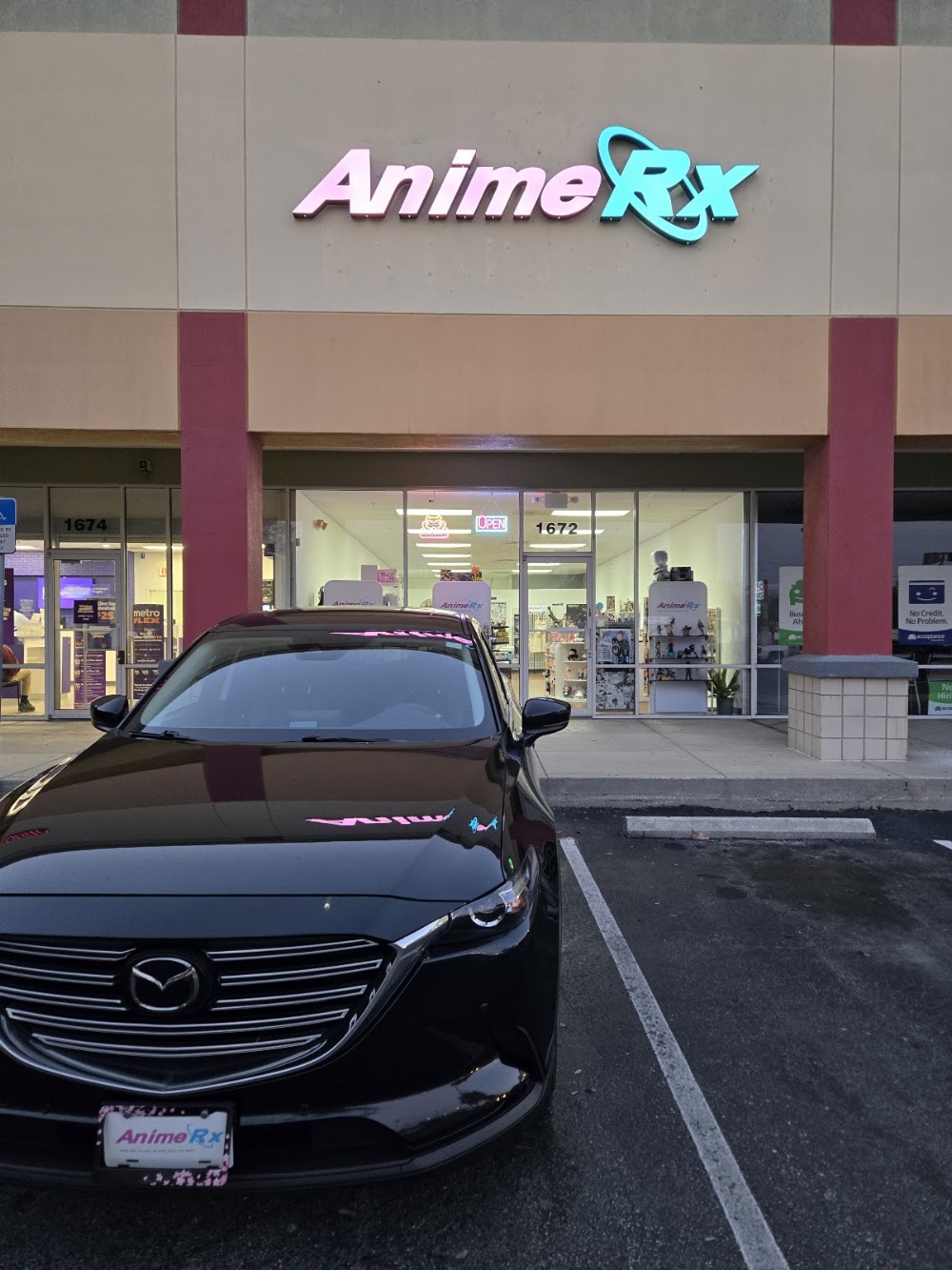 AnimeRx, tienda de TCG en Clearwater