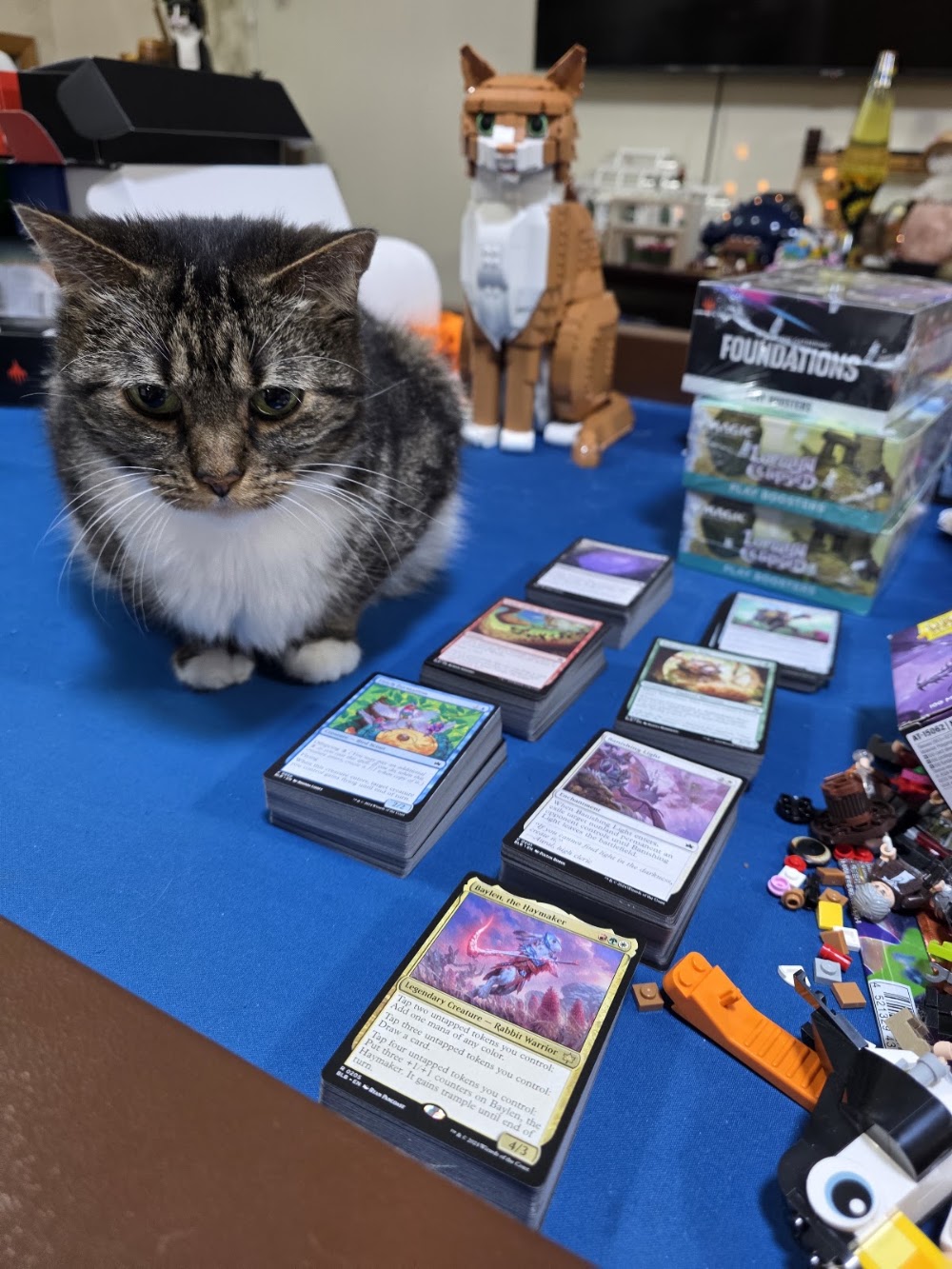 Carddabble Charlestown, tienda de TCG en Charlestown