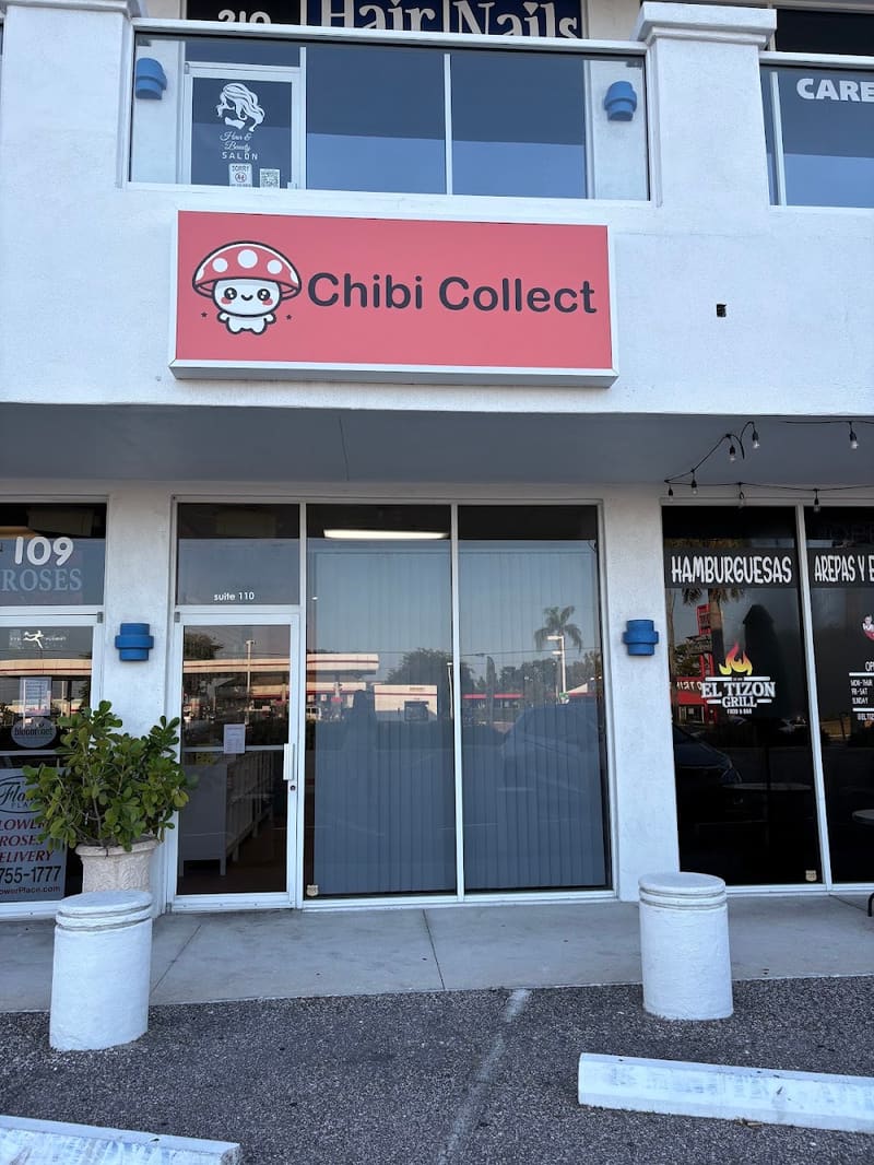Chibi Collect, tienda de TCG en Bradenton