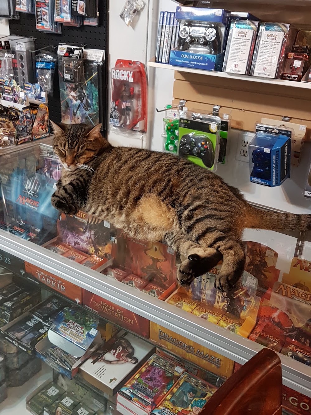 Elsewhere Gaming & Hobbies, tienda de TCG en New Minas