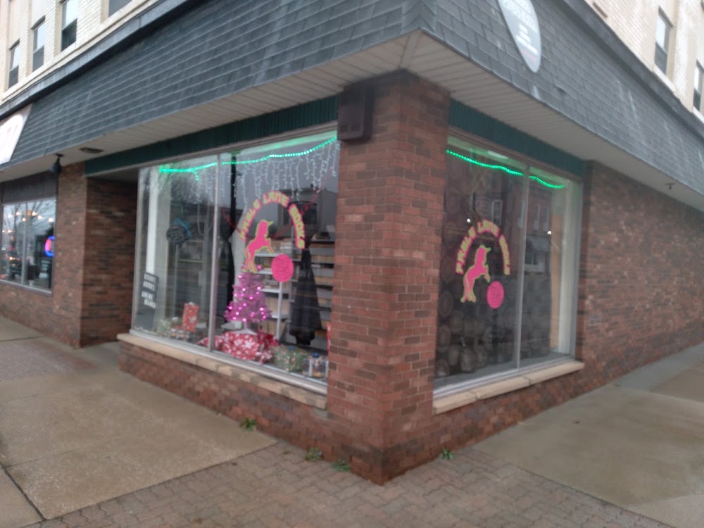 Fable Lane Books, tienda de TCG en Owosso