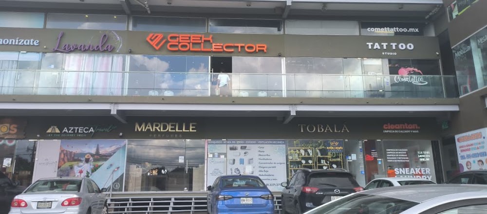 Geek Collector MTY