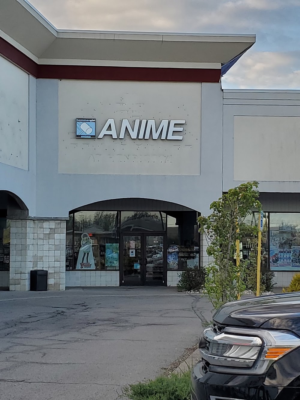 Hammergirl Anime, tienda de TCG en Rochester