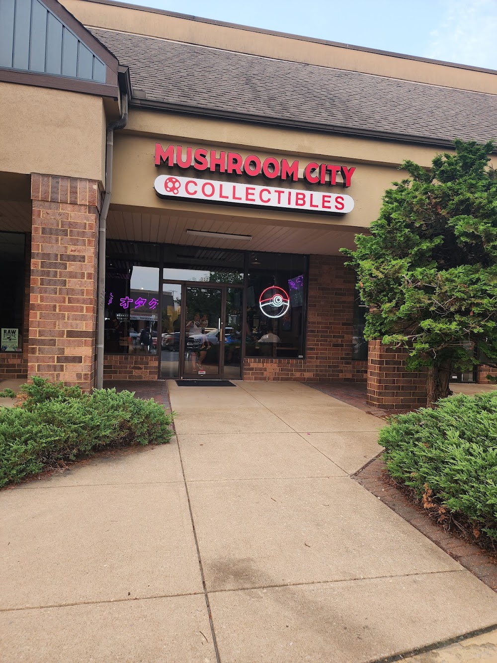Mushroom City Collectibles, tienda de TCG en Hockessin