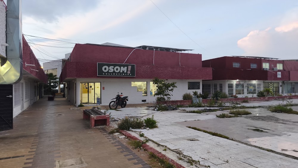 Osom Collectibles