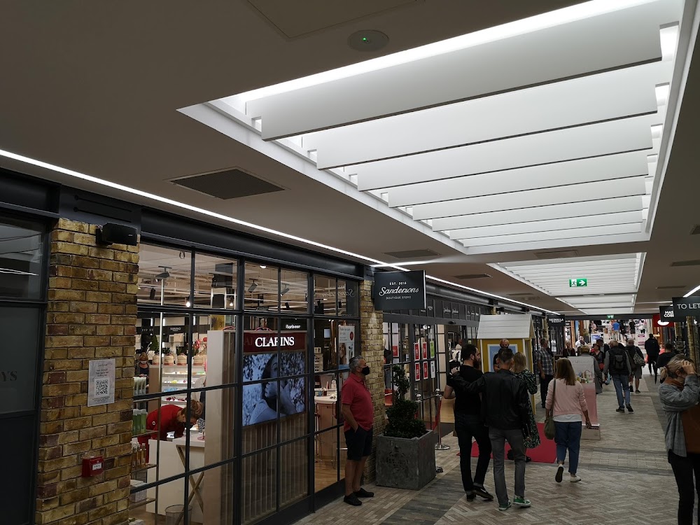 Pop & Pup Toy Shop, tienda de TCG en Stroud
