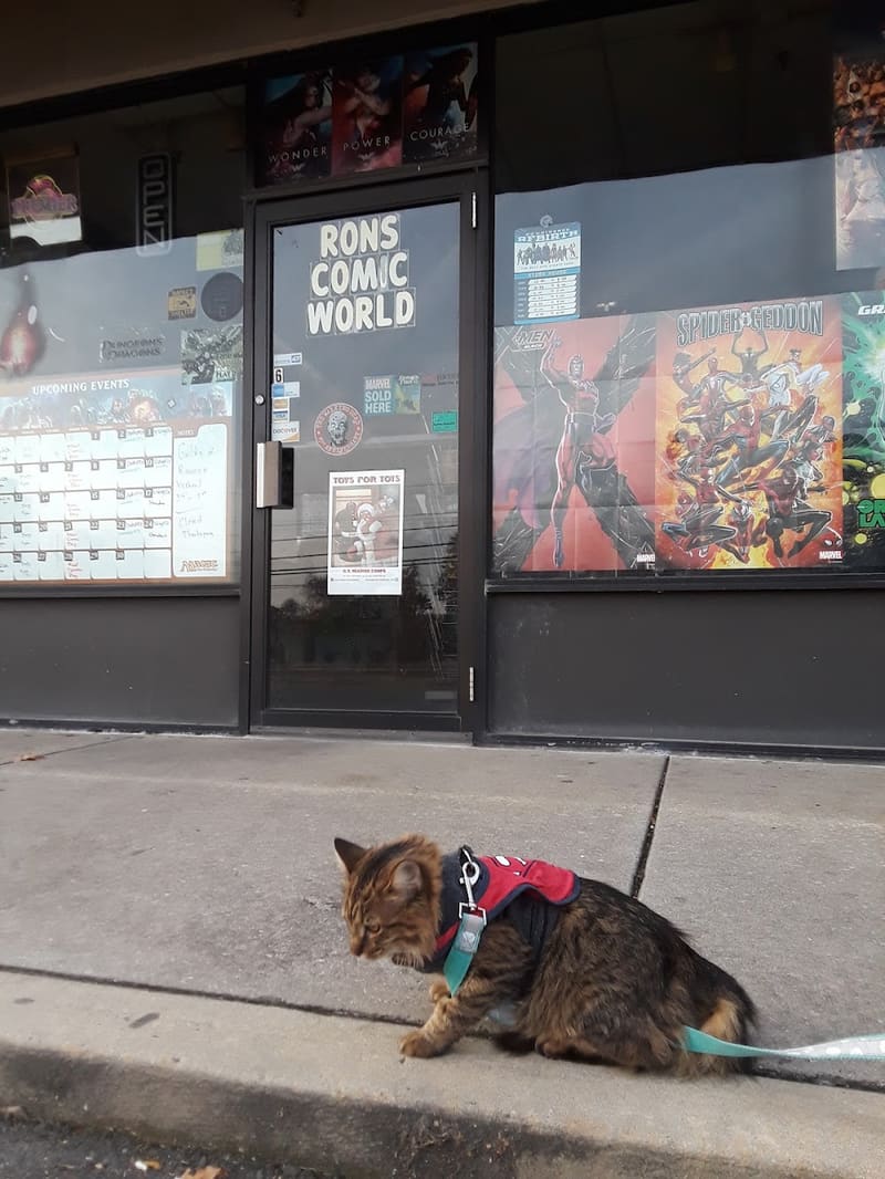 Ron's Comic World, a TCG store in Mt Holly