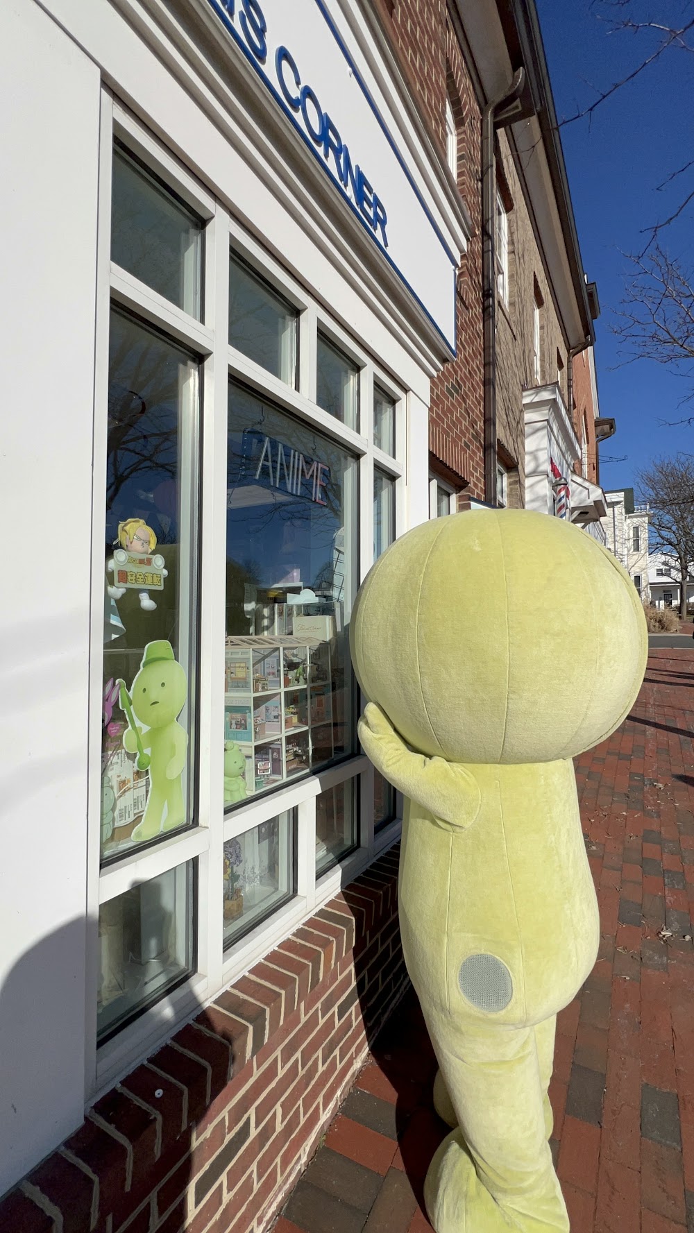 Senpais Corner, tienda de TCG en Herndon