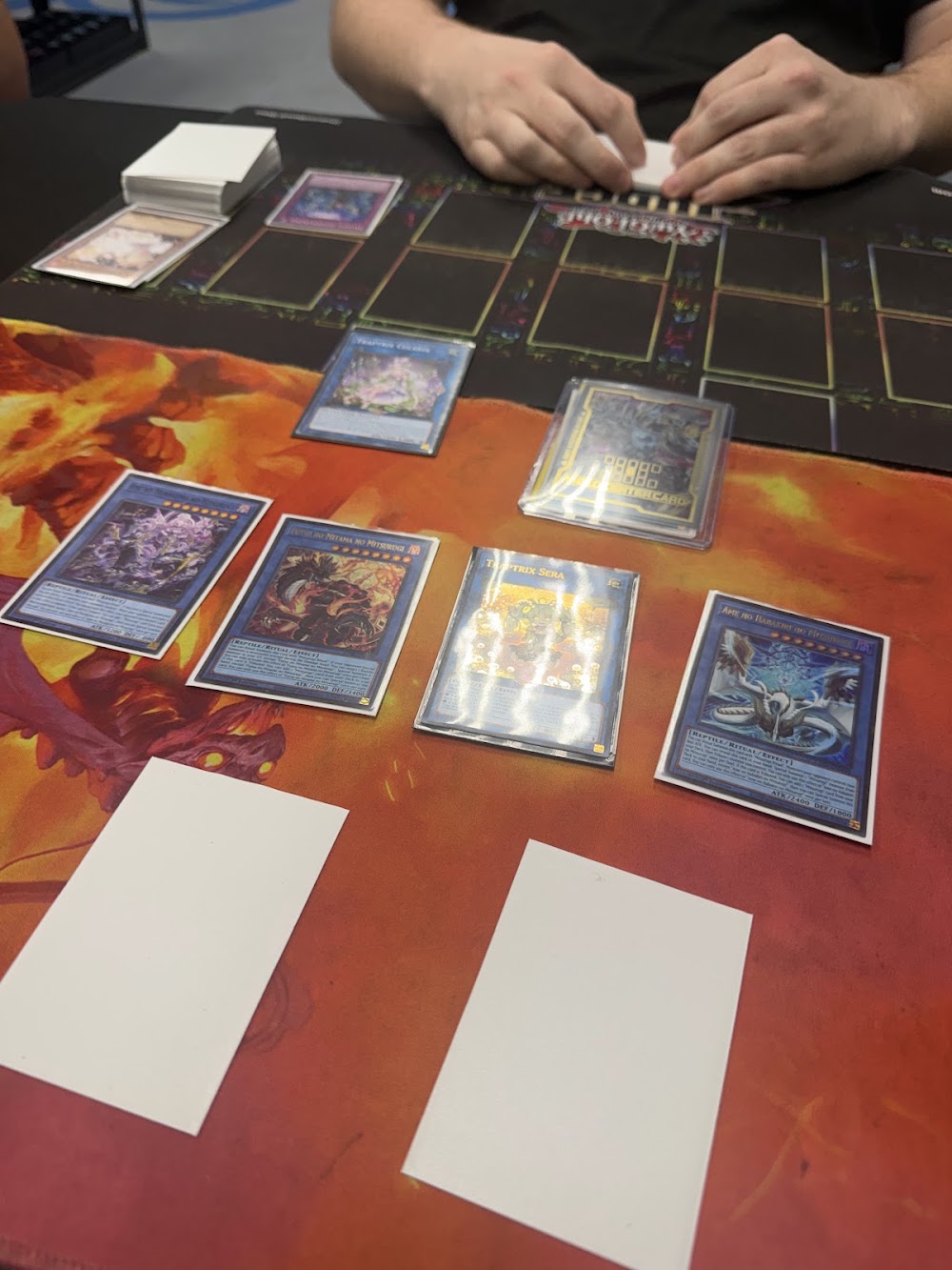sunset florida gaming, tienda de TCG en Bradenton
