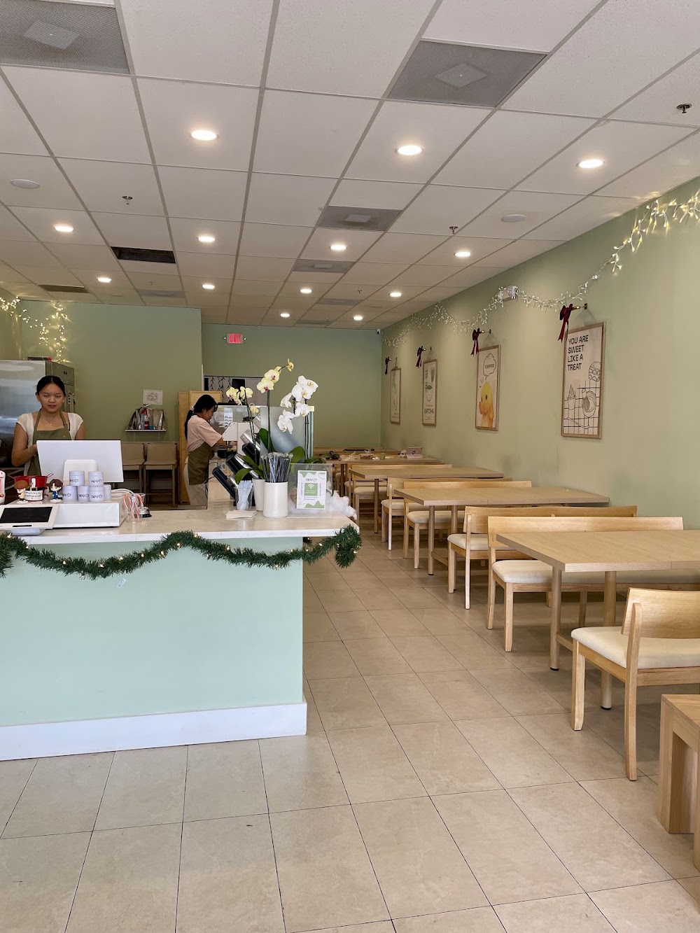 Taiyo Matcha, tienda de TCG en Jacksonville
