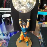 Animundo, tienda de TCG en Celaya