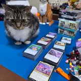 Carddabble Charlestown, tienda de TCG en Charlestown