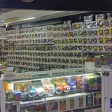 Kingdom Collectors, tienda de TCG en Guadalajara
