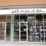 Le Secret des Korrigans, tienda de TCG en Montreal