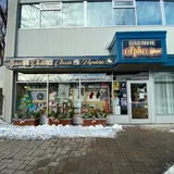 Librairie Alpha Inc, tienda de TCG en Gaspé