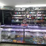 Panda's Corp, tienda de TCG en Mexico