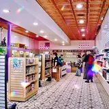 Planet Fun Satellite, tienda de TCG en Savannah