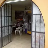 Red Rabbit, tienda de TCG en Cuernavaca