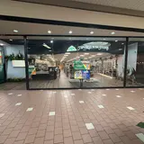 Sword in the Stone - Hazleton, tienda de TCG en Hazleton