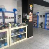 TCG Academy Bejar, tienda de TCG en Béjar