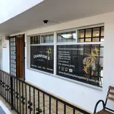 The champion's gallery, tienda de TCG en Santiago de Querétaro