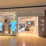 The Eternal Forge, tienda de TCG en Fairfax