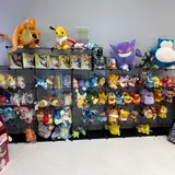 The Platypus Party Card Shop, tienda de TCG en Hagerstown
