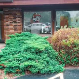 The Shop Collectibles LLC, tienda de TCG en Crown Point