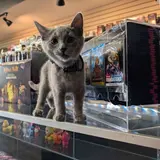 Titanforge 3D Printing and Hobbies, tienda de TCG en Harrisonburg
