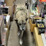 Warzone-Matrix, tienda de TCG en Cleveland