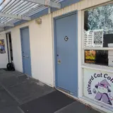 Wizard Cat Collectibles, tienda de TCG en Pinole