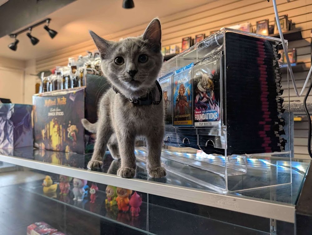 Titanforge 3D Printing and Hobbies, tienda de TCG en Harrisonburg