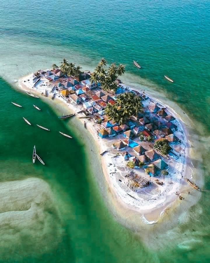Turtle Island