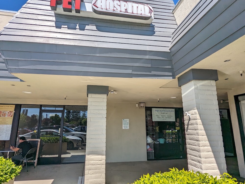Waifu Next Door Collectibles llc, tienda de TCG en Santa Rosa