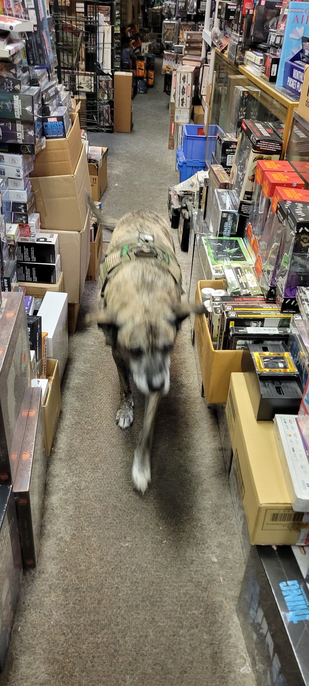 Warzone-Matrix, tienda de TCG en Cleveland